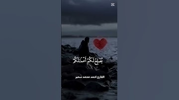 ياأيها الذين آمنوا اتقوا الله وقولوا قولا سديدا ❤️‍🩹#القارئ_احمد_محمد_سمير #القرآن_الكريم #quran