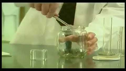 Fleas in a jar similarity in fleas & human behaviour