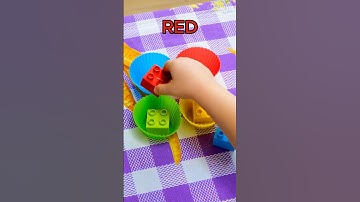 🌈 Color Sorting Fun! 🎨 Learn with Rainbow Magic! #learn colors #kids