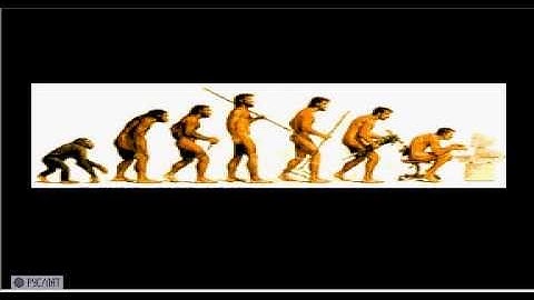 SkyNet Vector 06C demo