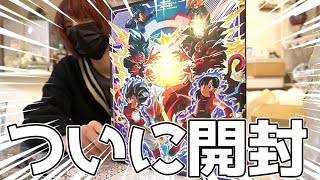 何ヶ月も前からずっと欲しかったあのカードが入ってる神バインダーを開封していく。【SDBH】