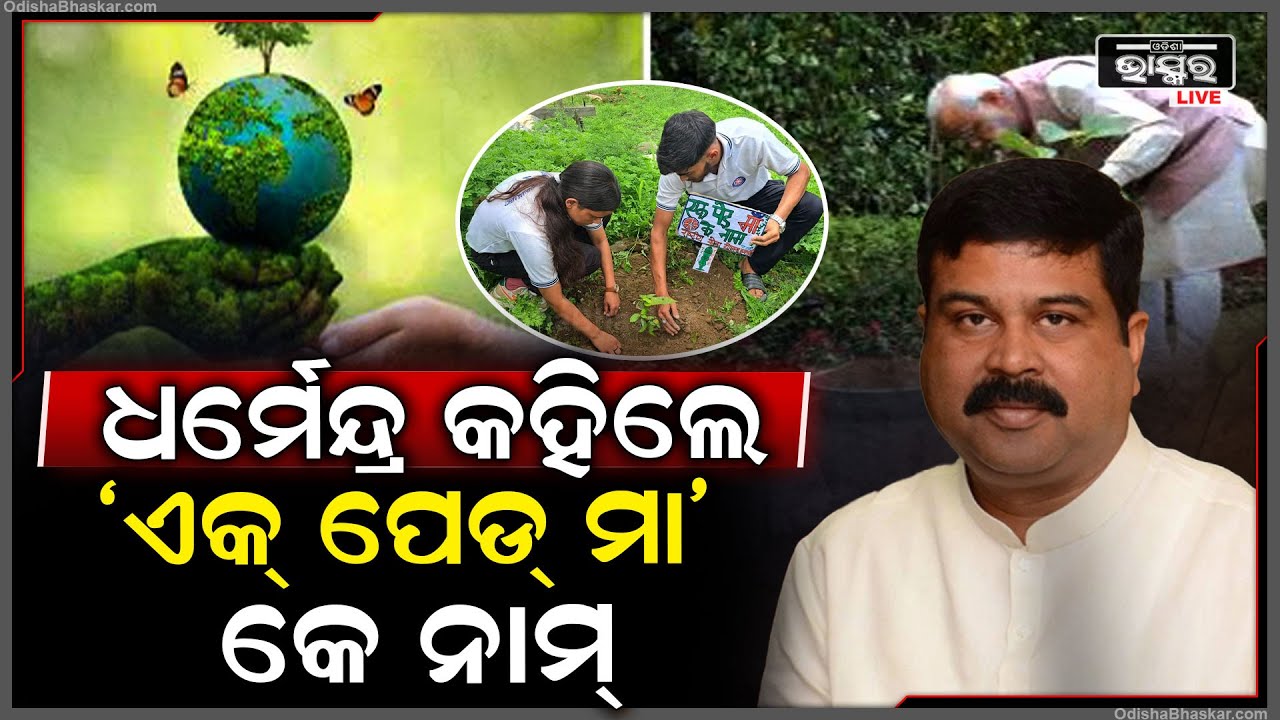 ‘ଏକ୍ ପେଡ୍ ମା’ କେ ନାମ୍‌ ନୂଆ ଅଭିଯାନର ଶୁଭାରମ୍ଭ ନେଇ ଭିଡିଓ ବାର୍ତ୍ତା ଦେଲେ ଧର୍ମେନ୍ଦ୍ର ପ୍ରଧାନ EkPedMaaKeNaam