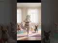 Ох Деваачки ❤️😂 #aiartwork #animationvideo #aicats #ai #funnycats