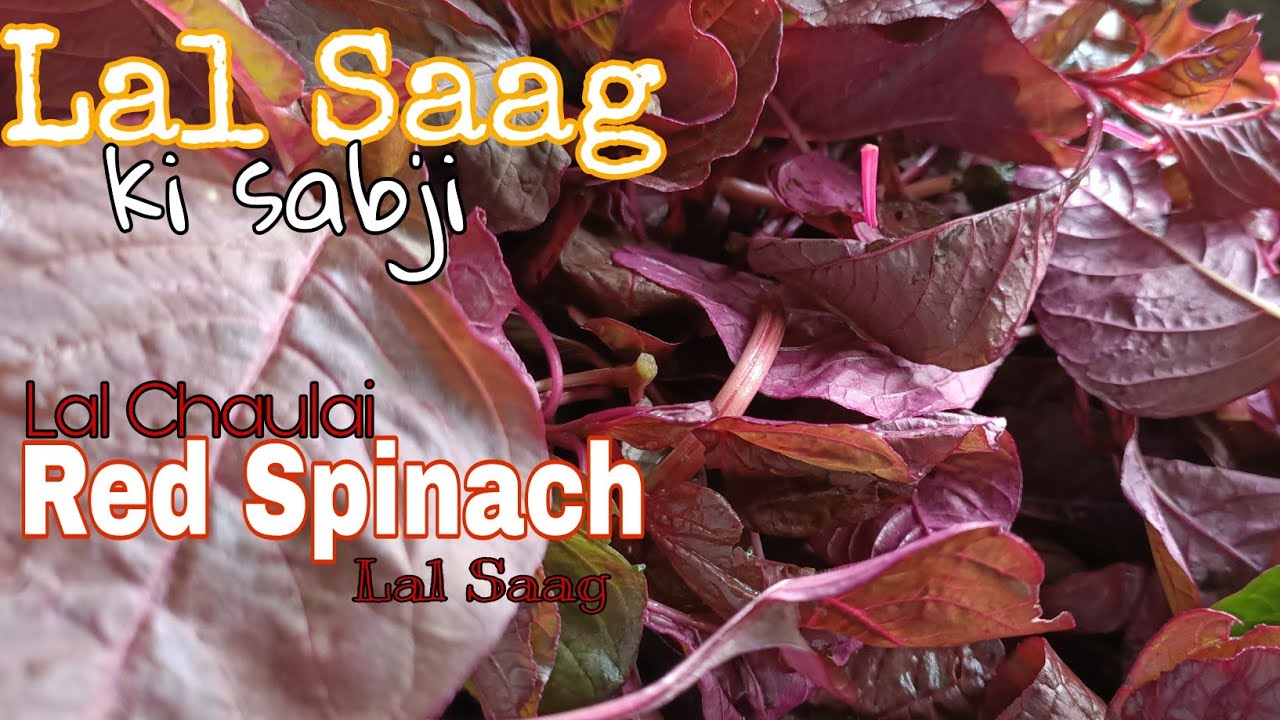 How to make Amaranth Leaves Recipe | Lal Saag ki Recipe | Red Spinach ...