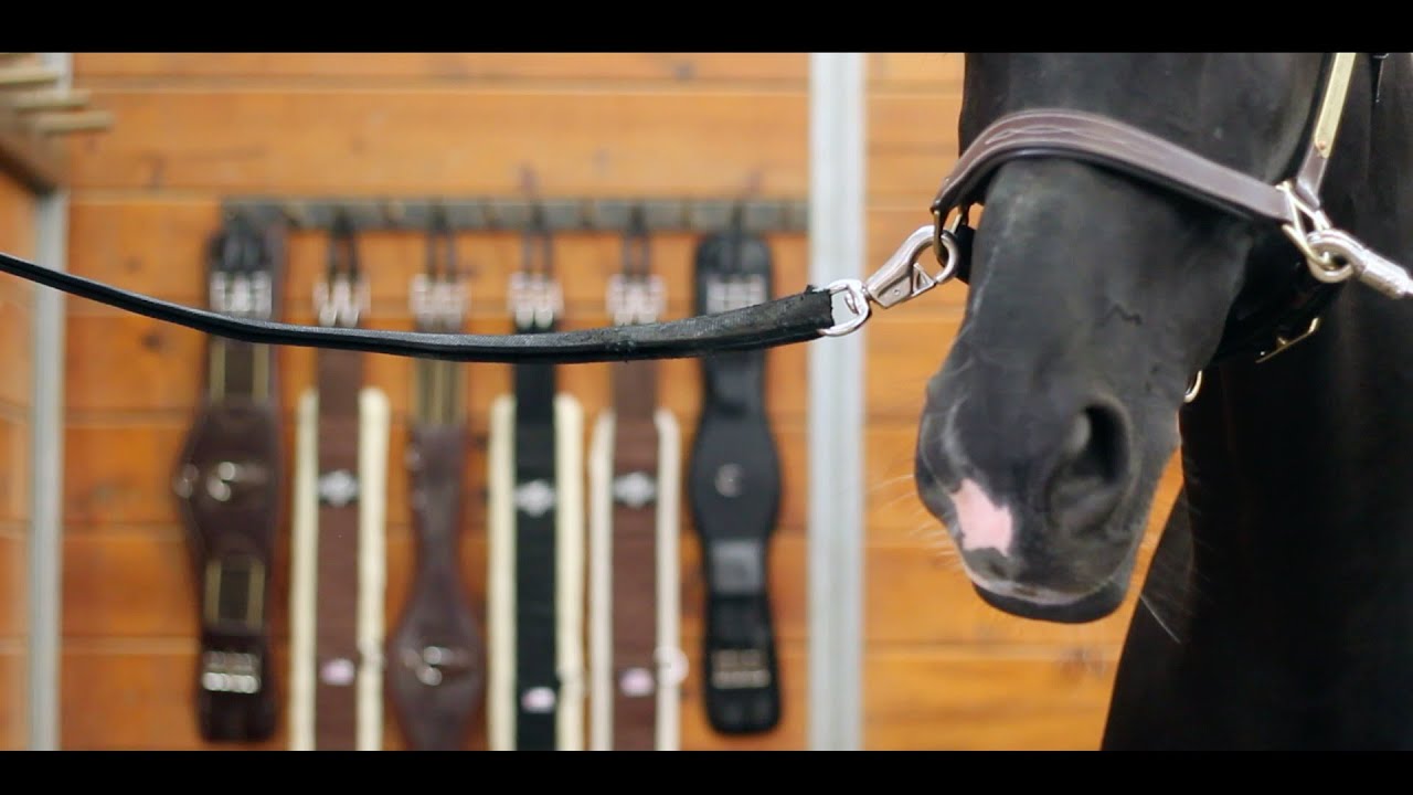 Eventing - A Story of Horse & Rider Eventing - A Story of Horse & Rider #1
