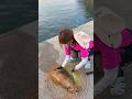 【衝撃映像】巨大なイカが釣れてしまった‼️ #釣り #fishing #みっぴ #エギング #squid #eging