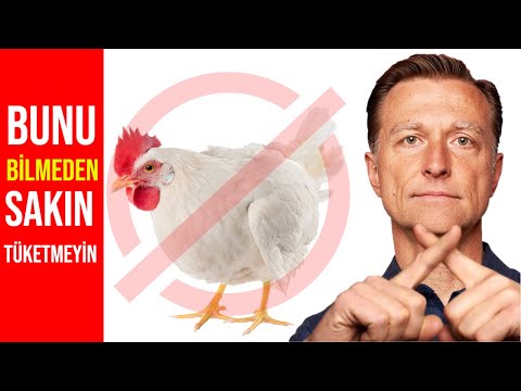 “Tavuk yemeyin” uyarısı doğru mu? | Dr.Berg Türkçe