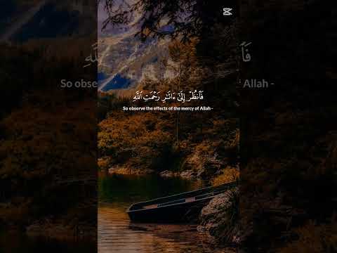 ٢٠ سبتمبر ٢٠٢٦