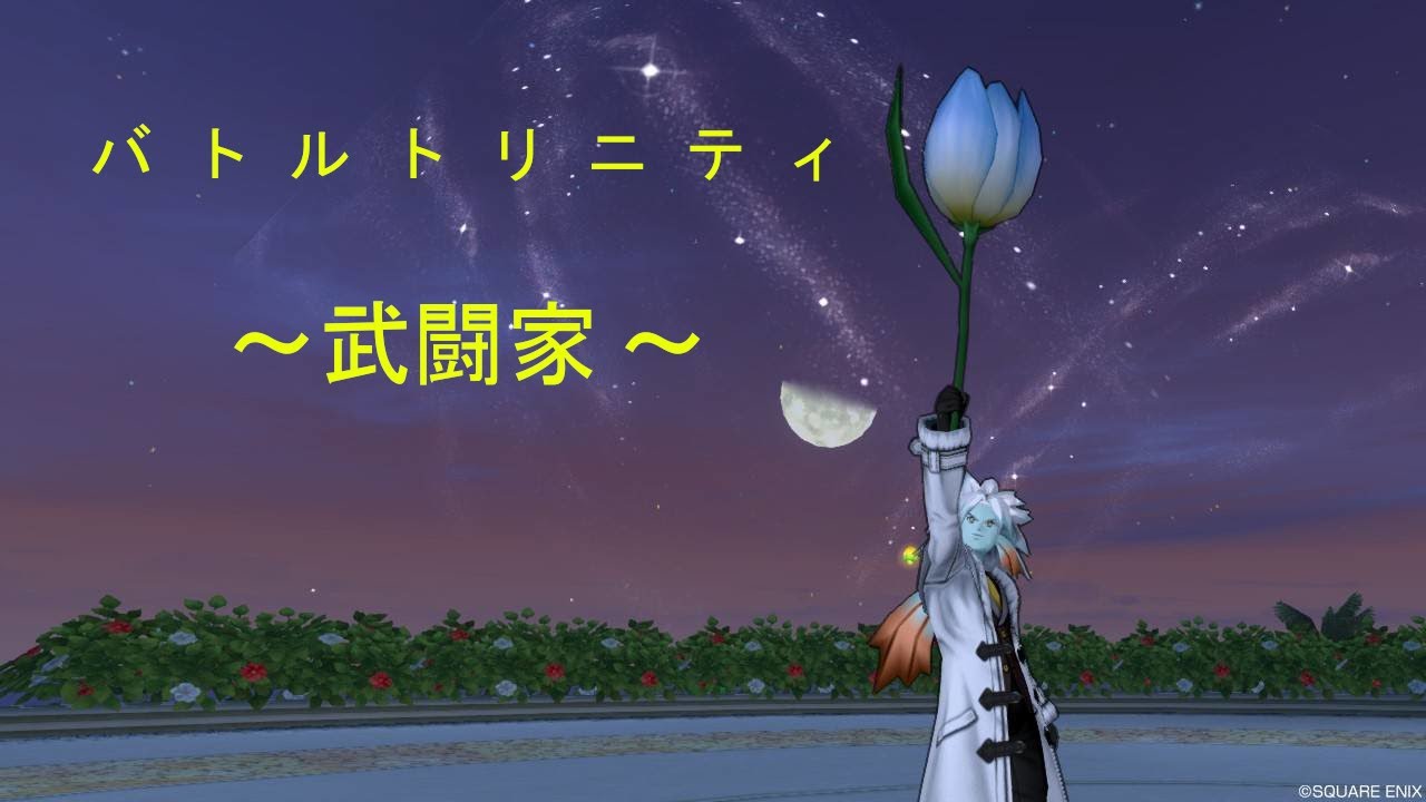 ドラクエ10 バトルトリニティ 武闘家44 Youtube