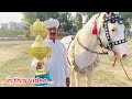 Horse Dance Jashn e Baharan Chakwal 🌃 Fakhr e Mp3 Song