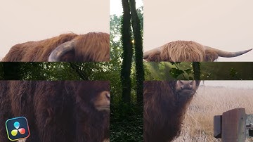 Cross iris Transition l Davinci Resolve 20