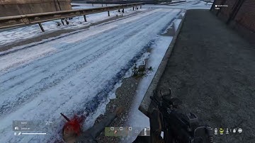 DayZ - MP5K Double Kill