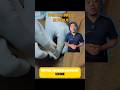 Punksi pubis: Kok Urin Diambil Lewat Perut, Bukan Lewat Kateter? #dryo #doktermenjelaskan