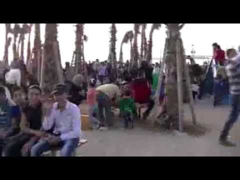 جزيرة البقر نهار الأحد