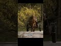 The Story of an Old Ox and an Old Farmer