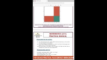 NIOS Class 10 Maths Practical File in 1 Minute | 211 Practical Manual & Viva Questions!
