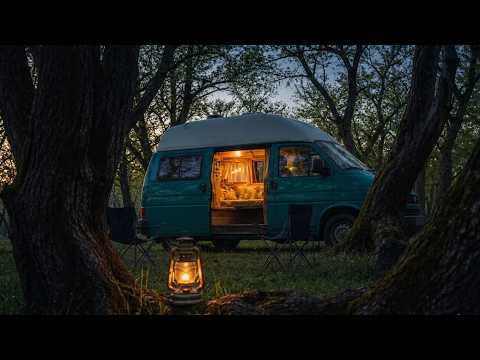 Ancient Forest Camping | '93 VW T4 | Part 2 | Prehistoric Mountain Microadventure | 4K Nature Sounds