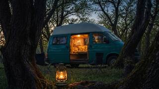 Ancient Forest Camping | '93 VW T4 | Part 2 | Prehistoric Mountain Microadventure | 4K Nature Sounds