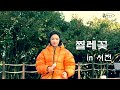 찔레꽃 I 백난아 𝐂𝒐𝐯𝐞𝐫 𝒃𝐲 류원정 가사 Lyrics