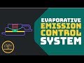 [HINDI] What is Charcoal Canister System (EVAP) in Car ?