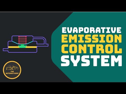 What Is An Automotive Evap System