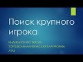 Стратегия поиска крупного игрока для заработка на бирже