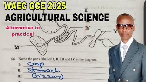 WAEC GCE 2025 Agricultural Science: Alternative to Practical .