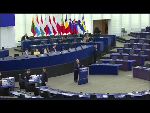 ევროპარლამენტი საგარეო კომიტეტის სხდომაზე საქართველოს შესახებ ანგარიშის განხილვას იწყებს