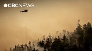 Hundreds of properties under evacuation order as Pear Lake wildfire grows in B.C.