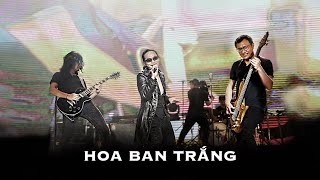 Video-Miniaturansicht von „Bức Tường - HOA BAN TRẮNG | Liveshow Trở Về“