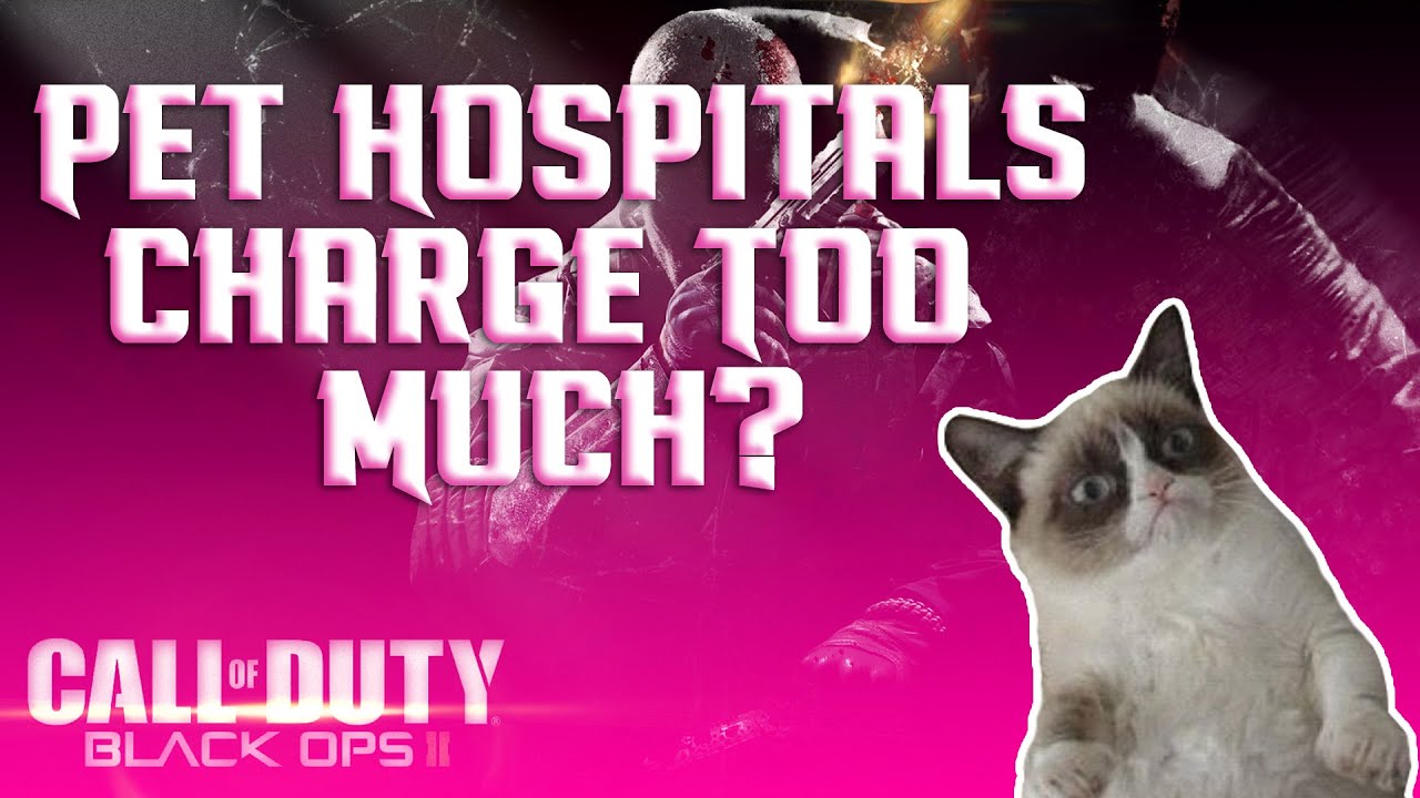 Im So Niitro - Pet Hospitals Charge Too Much?! (BO2)