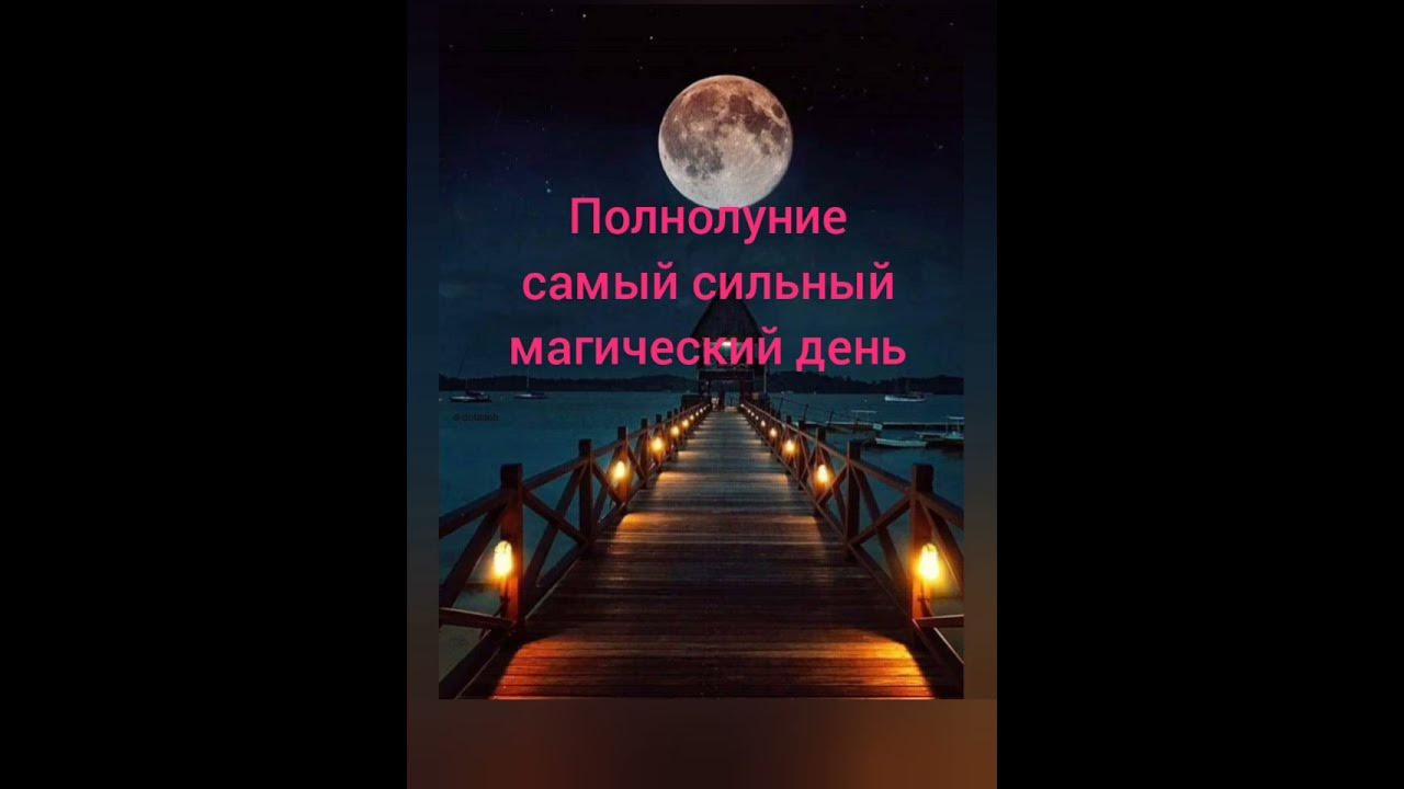 Полнолуние 2023. Полнолуние в ноябре. Магия луны. #shorts - YouTube
