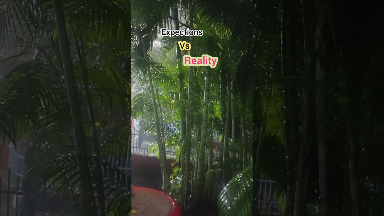 Expectations vs reality of Rain in Smart City Jammu