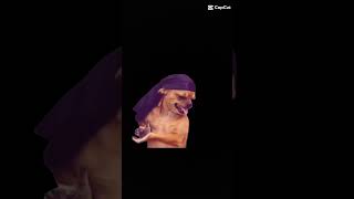 Browse short