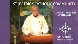 Scripture Reflection: The 3rd Sunday of Advent (Fr. André) Guide