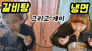 개미와의 전쟁 선포 (feat.오여사갈비탕&냉면) (Country Story of City Couple EP.399)