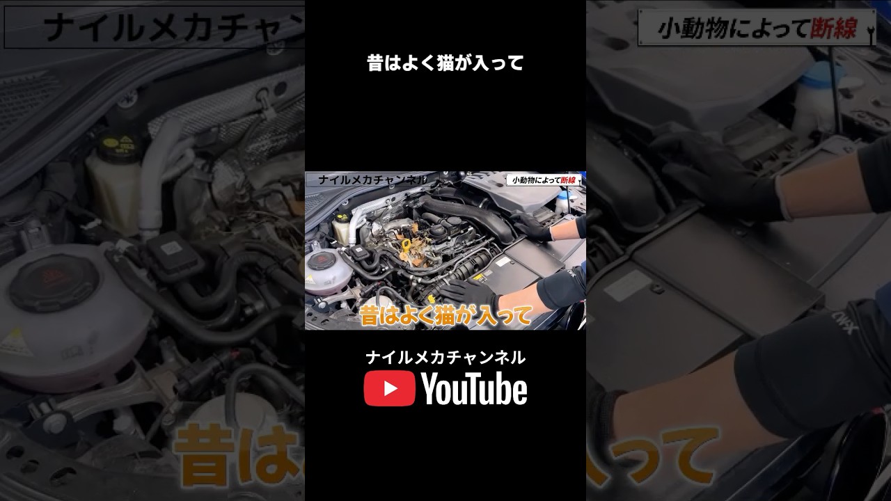 エンジンをかける前にボンネットを叩く猫ボンボン 【まさかの原因】エンジン不調→開けたら小動物の巣だった… 【VW修理】