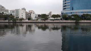 Tainan canal part 1 20201008 164658