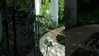 Greenhouse Ambience  Relaxing Nature Sounds v.4.24