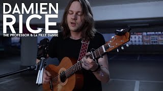 Damien Rice - The Professor & La Fille Danse (Cover)