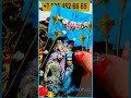 💌 Письмо из вашего будущего через год? 💞 Гадание на картах Таро | Алена Ариес