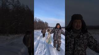 Work outdoors❄️ We feed Yakut horses🐴 / Работа на природе❄️ кормим якутских лошадей🐴 #pandasakha