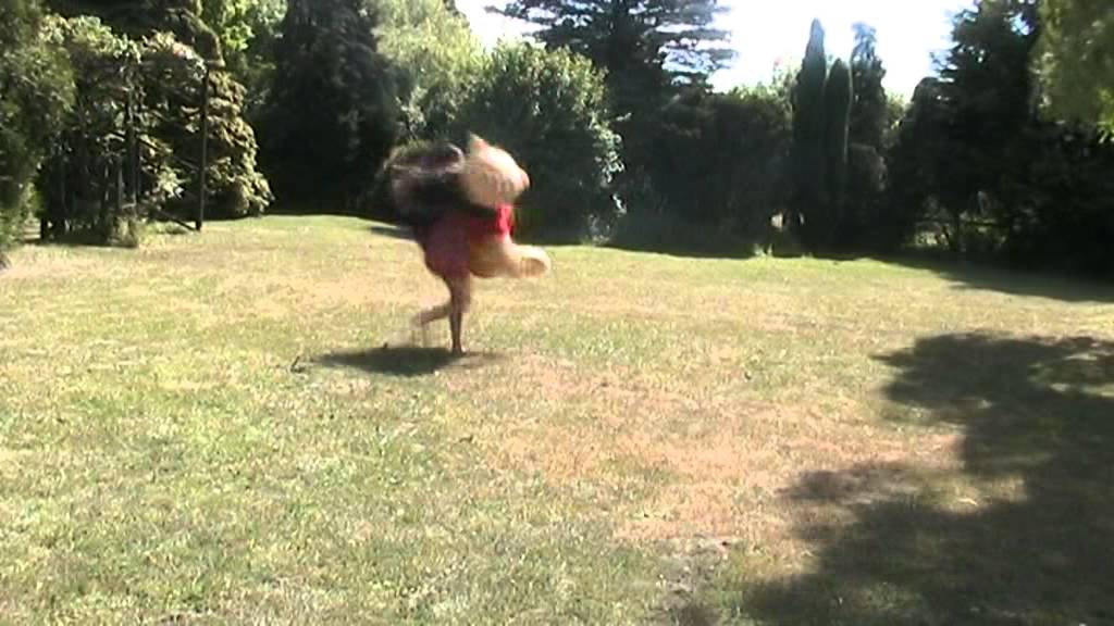 Lady Gaga video by Palmer's College students