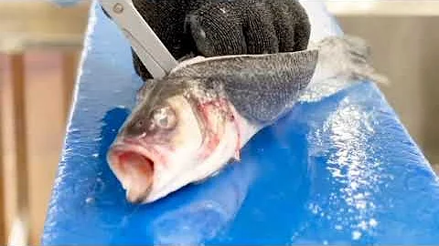 Direct Seafoods filleting tutorial: How to canoe fillet a sea bass