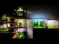 All of my aquascapes full aquarium room tour  aquascaping ideas