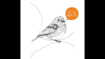 Hatch Shading with Ink: Value Scale Demo