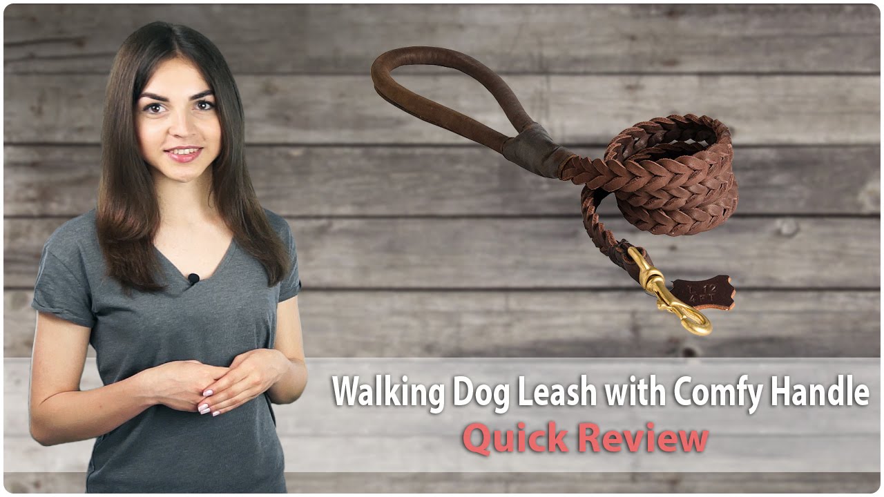 Choose Best Fully Braided Leather Dog Leash