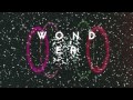 Miniature de la vidéo de la chanson Wonder