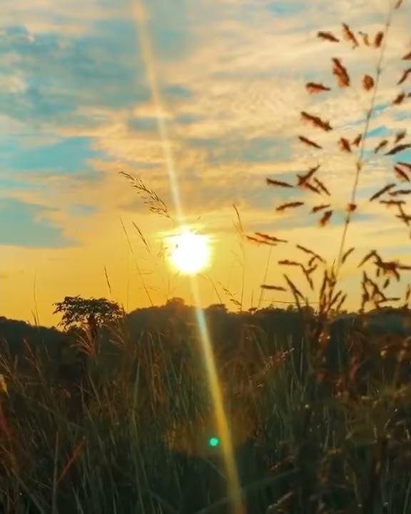 Story WA Senja Sunset Sunrise Di Sawah