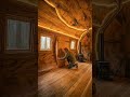 Tree house#animals #animation #birds #forest #freshair #food #usa